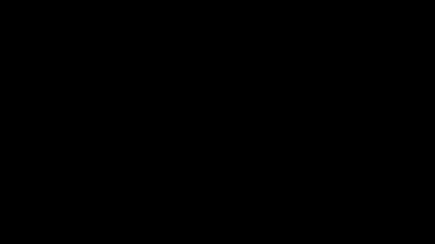 17411