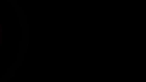11504